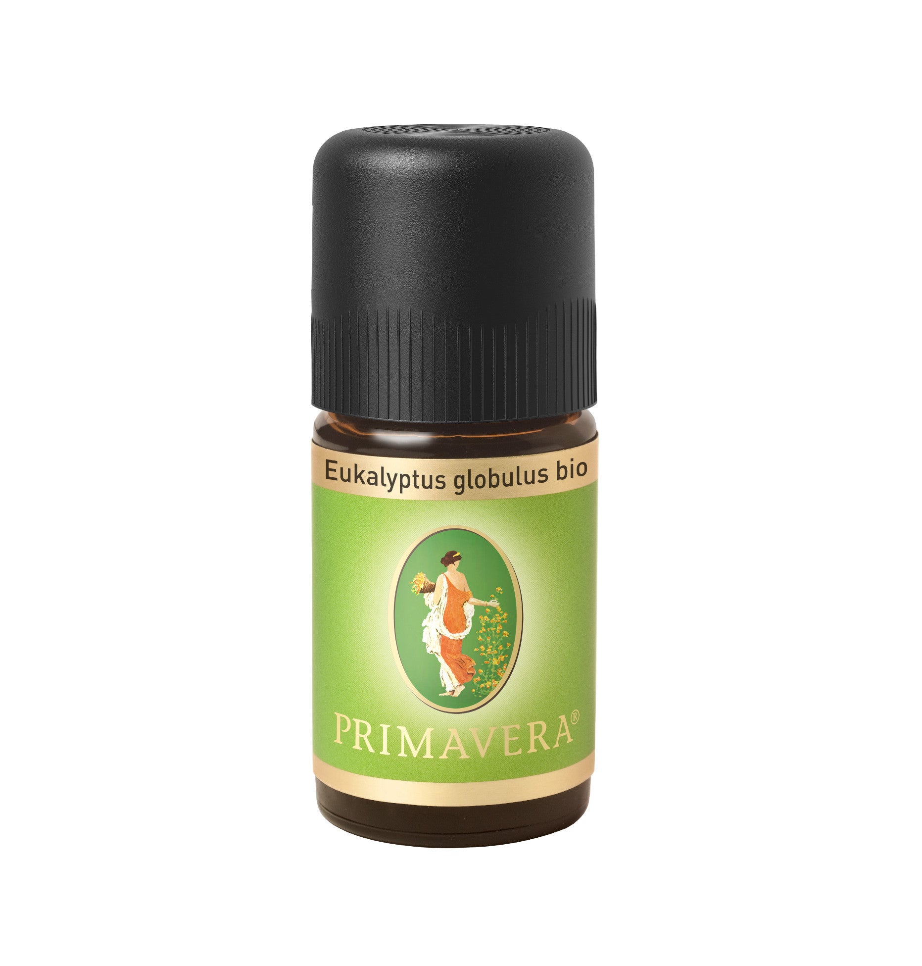 PRIMAVERA - Ätherische Öle - Eukalyptus globulus bio 5ml | HEDO Beauty