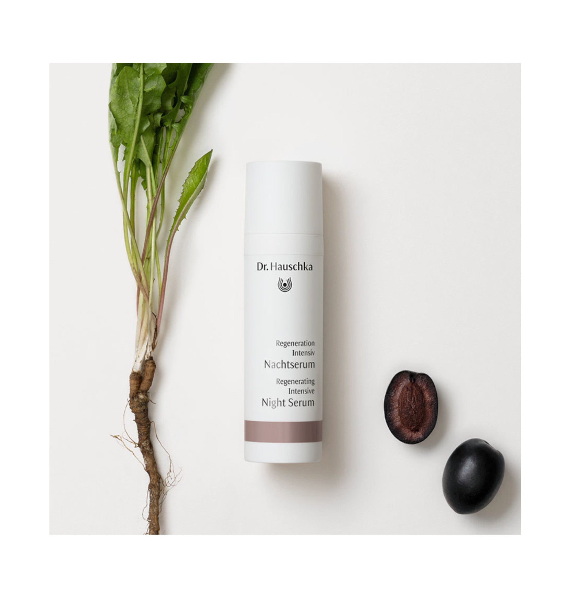 Dr. Hauschka - Gesichtspflege - Regeneration Intensiv Nachtserum 30ml