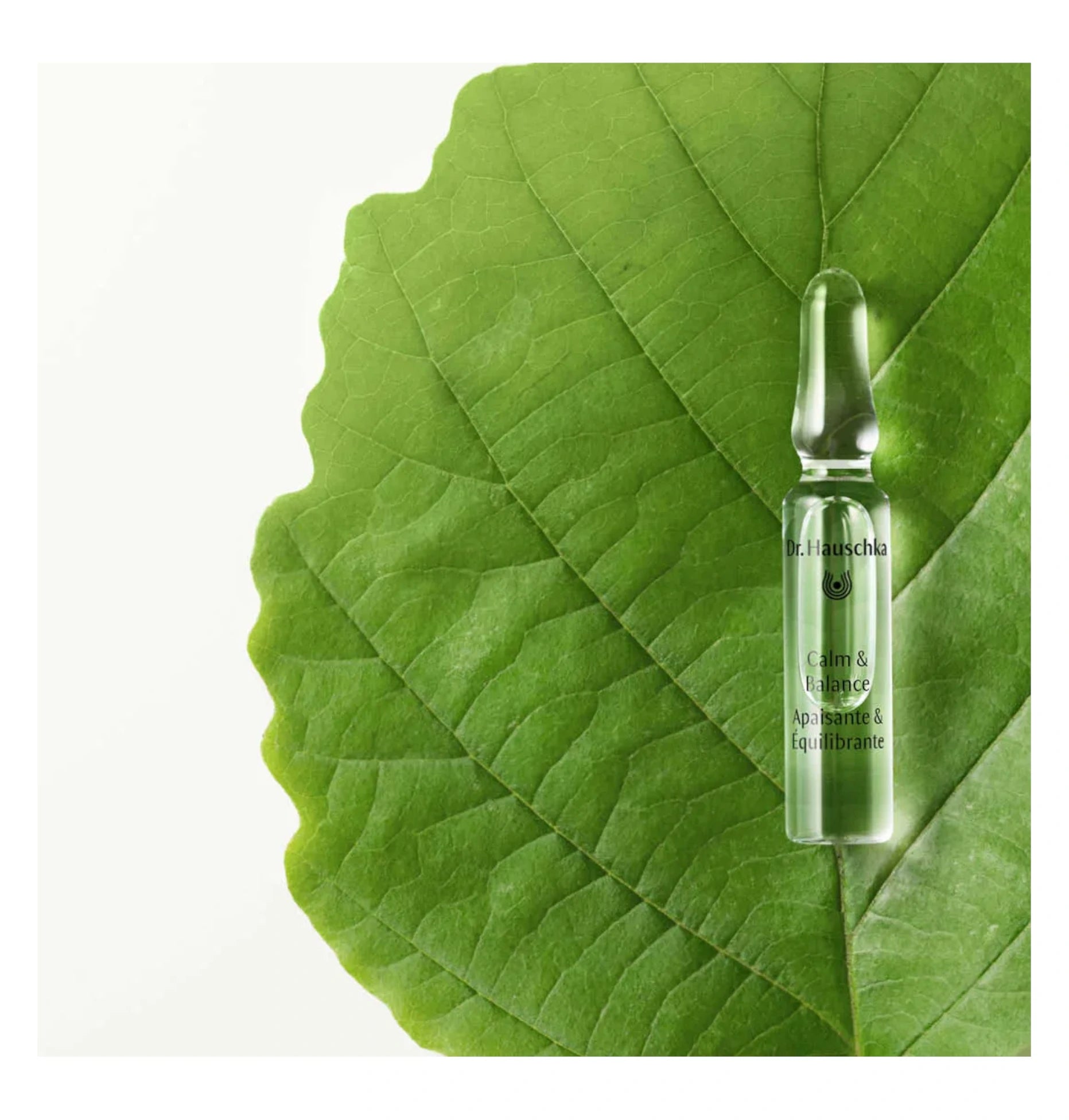 Dr. Hauschka - Gesichtspflege - Calm & Balance Ampoules 7 x 2ml