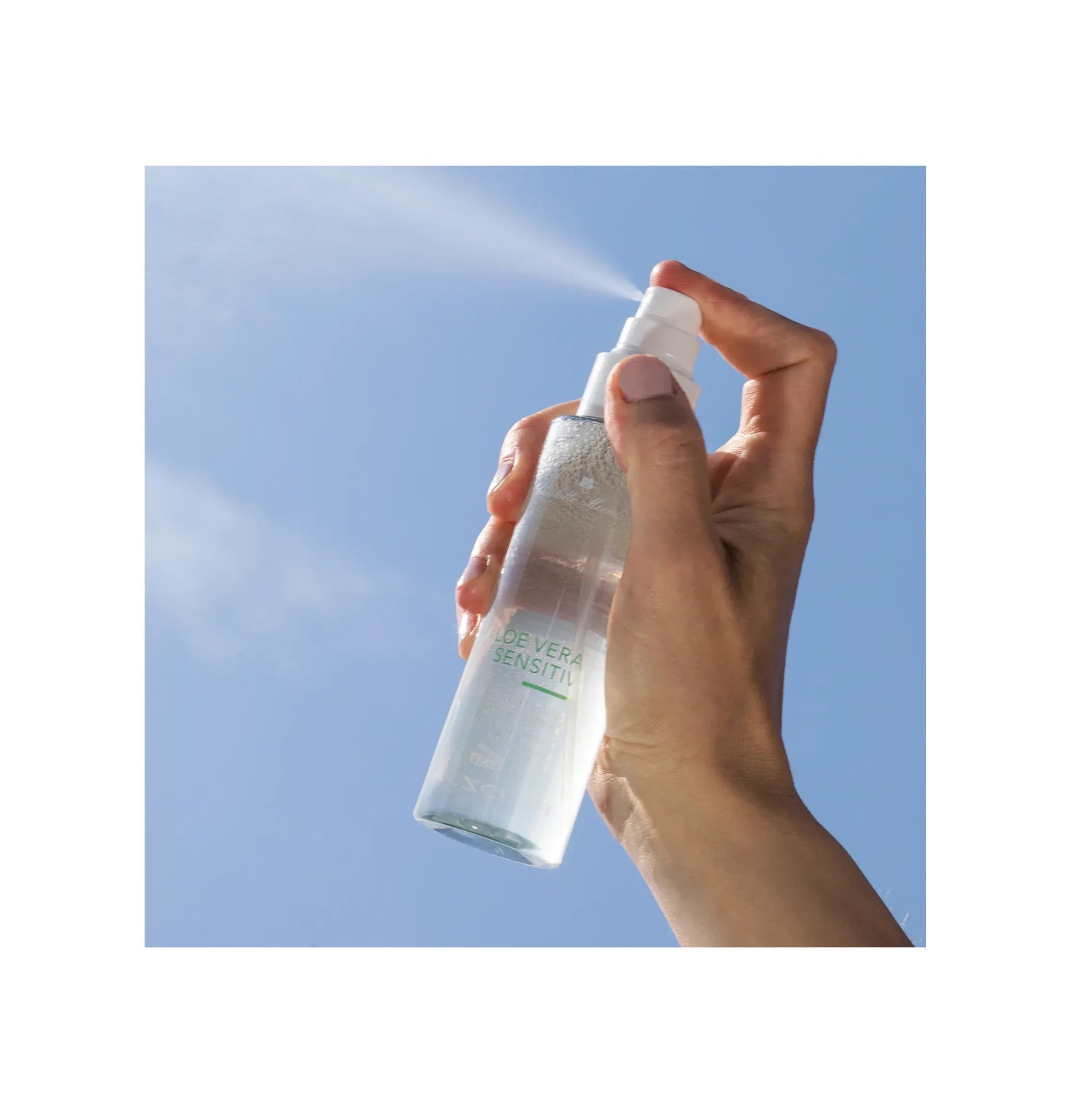 Charlotte Meentzen - Aloe Vera Sensitiv - Gesichts- und Körperspray 100ml