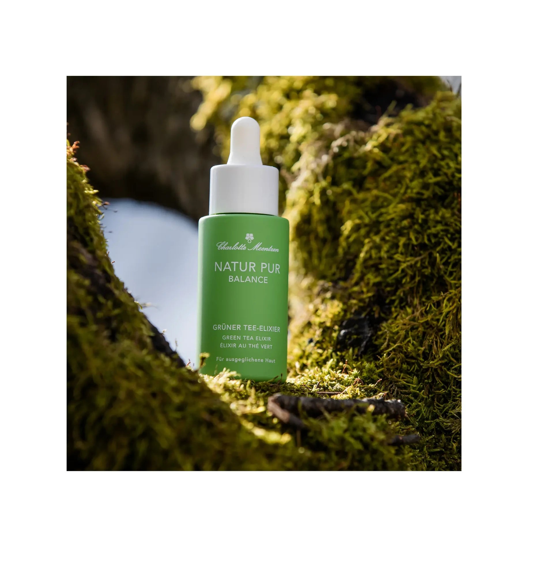 Charlotte Meentzen - Natur Pur BALANCE - Grüner Tee-Elixier 30ml