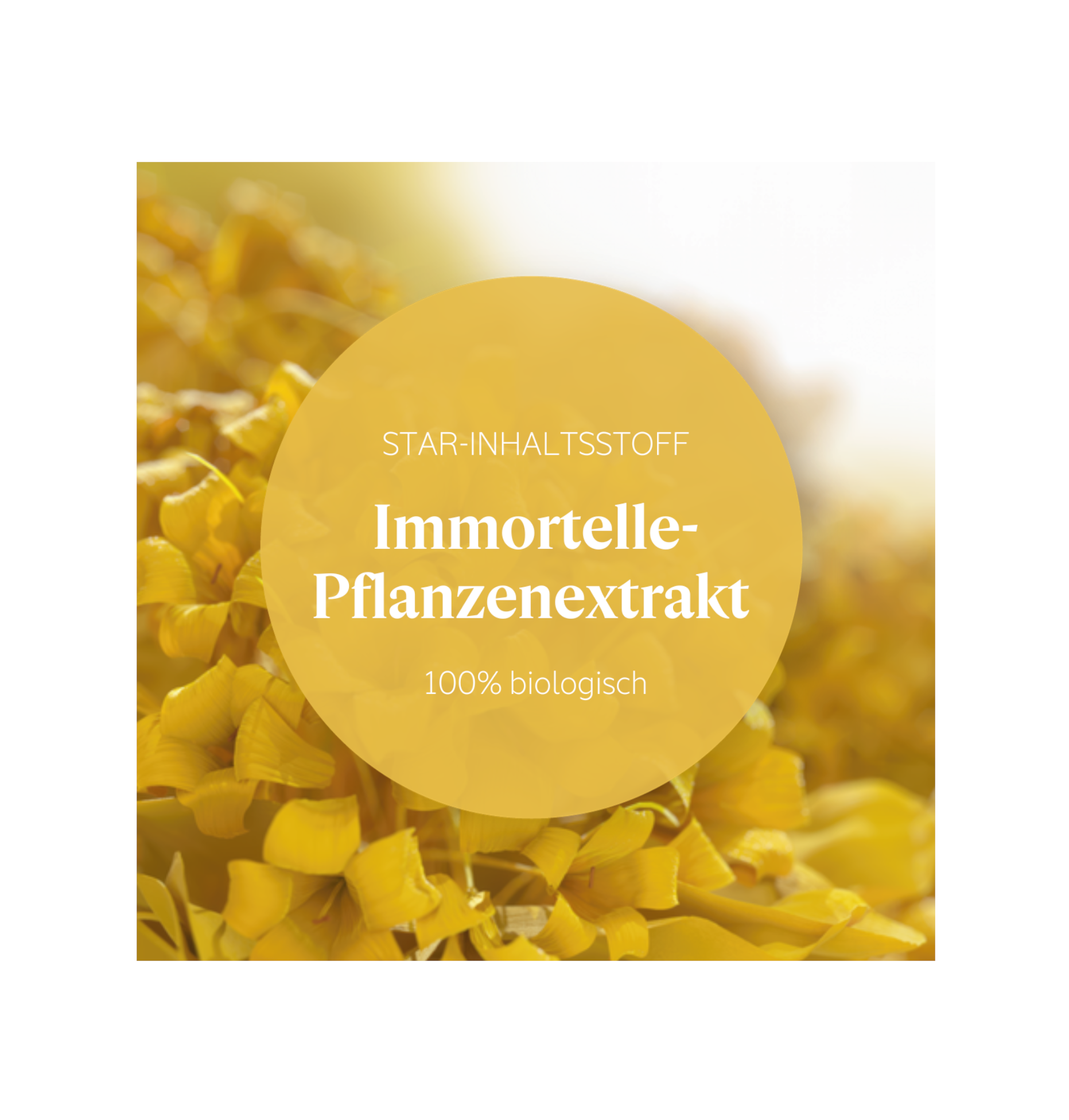 L'Occitane - IMMORTELLE - Crème Précieuse 50ml