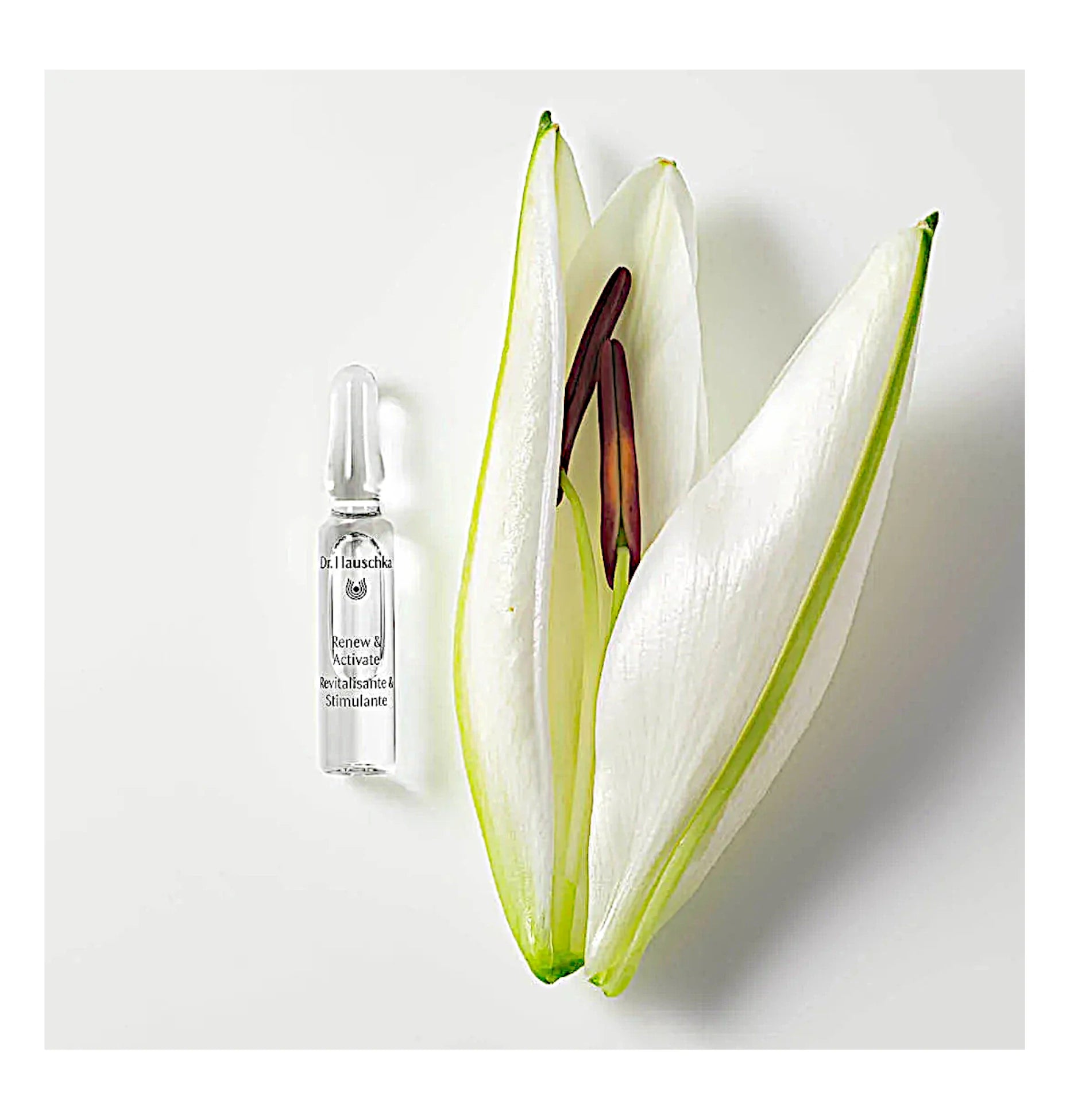 Dr. Hauschka - Gesichtspflege - Renew & Activate Ampoules 28 x 2ml